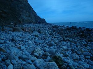 Rocky Beaches