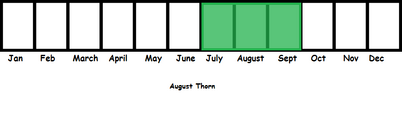 August Thorn TL