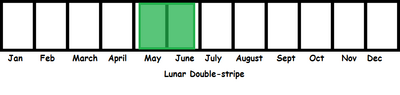 Lunar Double-stripe TL