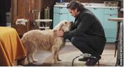 Nick & Bugatti