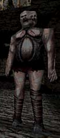 Файл:Ogre image.png