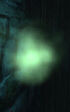 TDS light willowisp