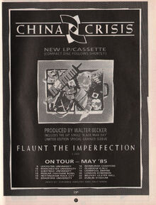 Flaunt the Imperfection full page ad