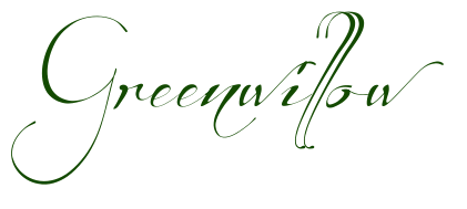 File:Embed.png