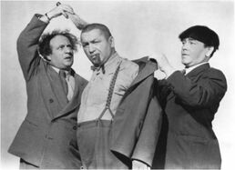 Curleyhoward1