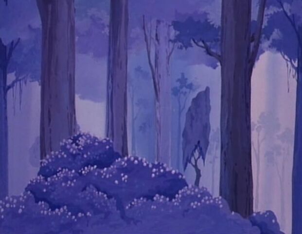 File:Silent-forest.jpg