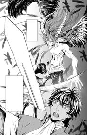 SateriasisRajihFight2.jpg