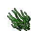 Kelp.gif
