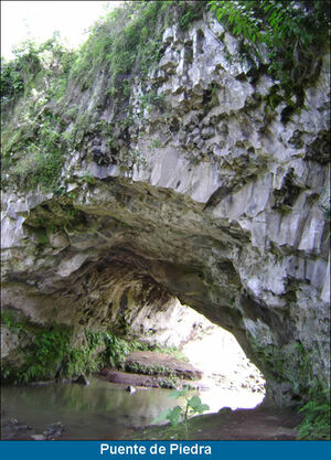 Puente piedra.jpg