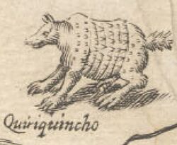 Quirquincho ovalle