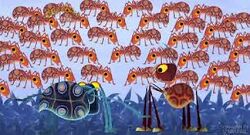 Images l ant