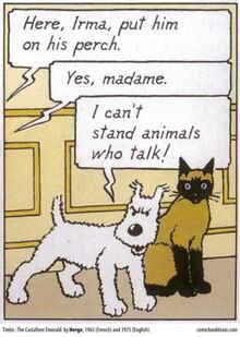 Cat and Snowy