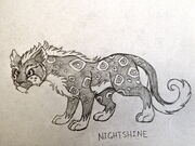 Nightshine