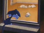Furrball looks at the White Cat Family