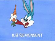 Boomerang-TinyToon