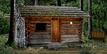 Wfnrlogcabin sdw