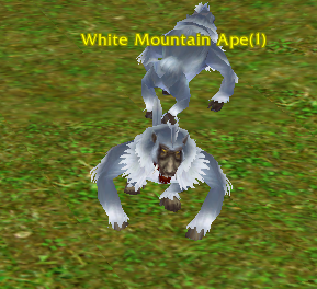 White Mountain Ape