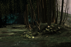 Swamp