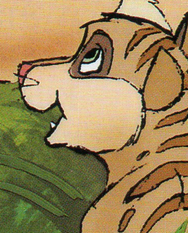 Ngawa