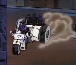 87 Turtle Seeking Cycle