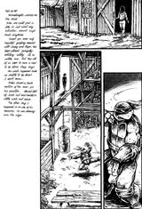 TMNT v1 11 21