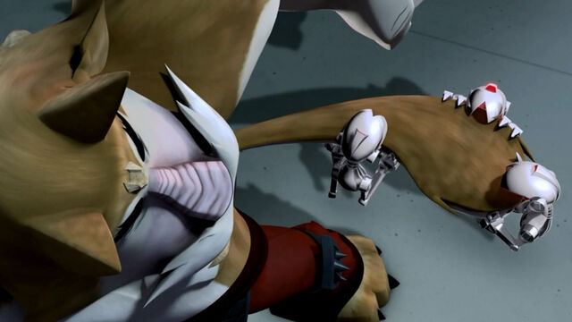 Archivo:Dogpound 17.jpg