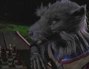 Splinter tnm.jpg