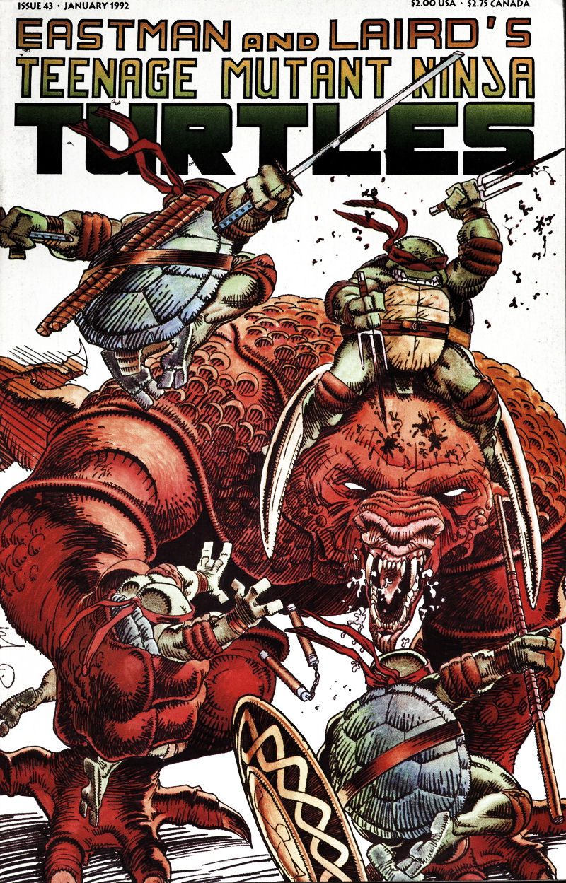 43cover