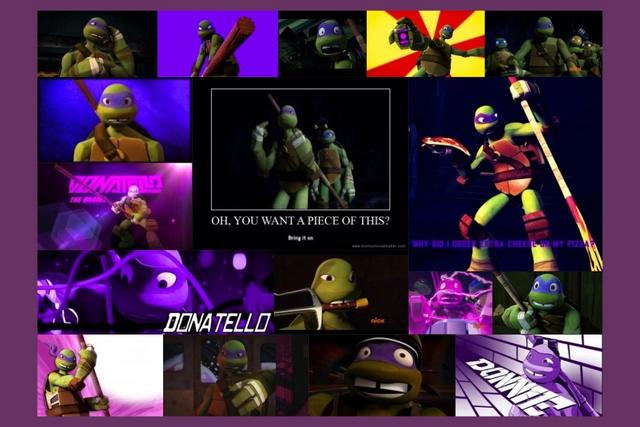 File:Donnie Collage.png