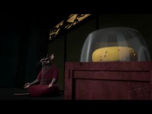 Splinter's Room