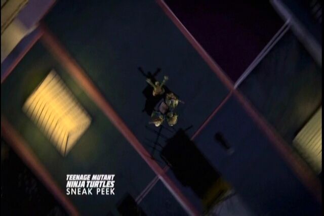 File:PDVD 038.jpg
