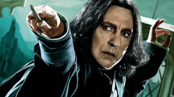 Rickman Snape 9983