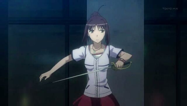 Archivo:Uragami profile.jpg