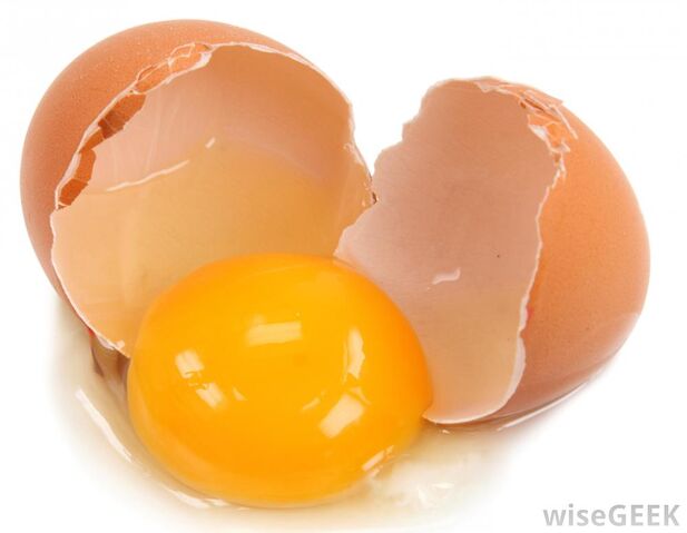 File:egg.jpg