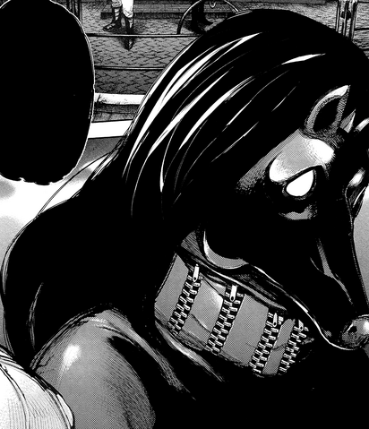 File:Irimi's mask.png
