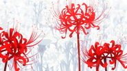 Symbolism (Kaneki's Psychological Transformation)
