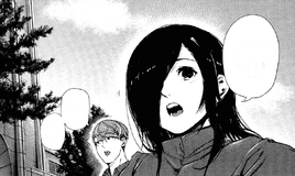 Toka-Nishiki.png