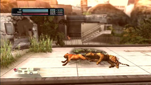 File:Tigerboss.jpg
