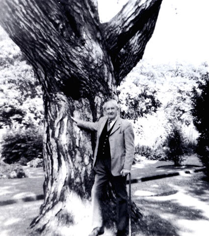 파일:Michael George Tolkien-Jrrt 1972 tree.jpg