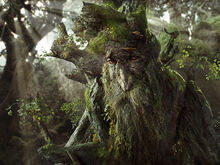 Treebeard.jpg