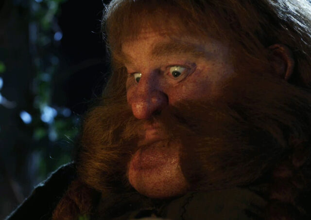 Súbor:Bombur2.jpg