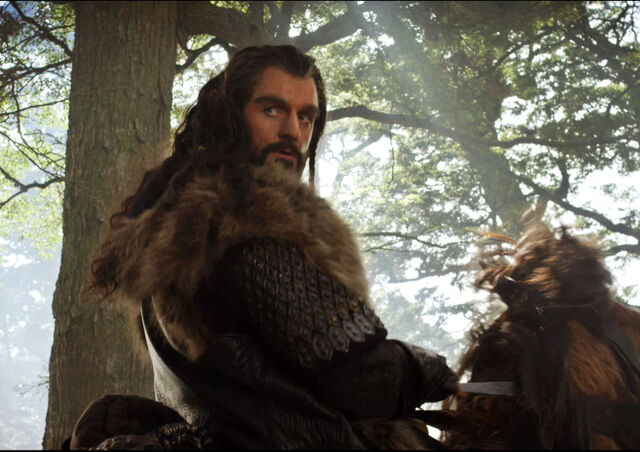 Súbor:Thorin2.jpg