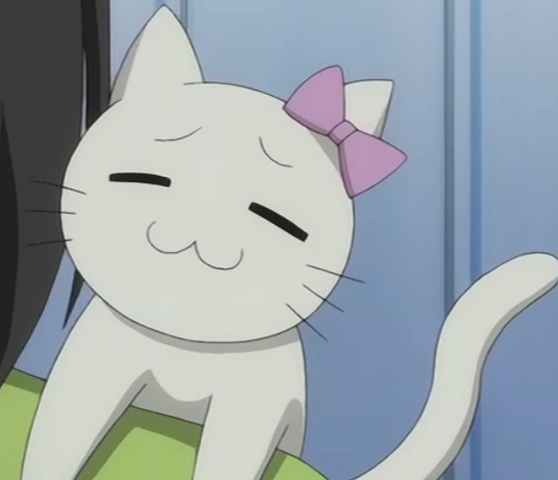 Archivo:Shirone.png