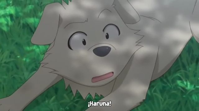 Archivo:Vlcsnap-2013-12-26-15h45m20s76.png