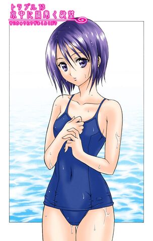 Archivo:Portada del Capitulo 13 To Love Ru (Version Digital Color).jpg