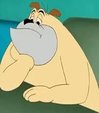 Butch Dog