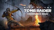 Endurance Mode