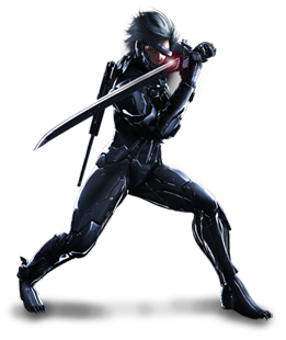 File:RaidenPSASBR.png
