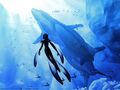Thumbnail for version as of 00:36, December 31, 2012