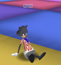Nights-1